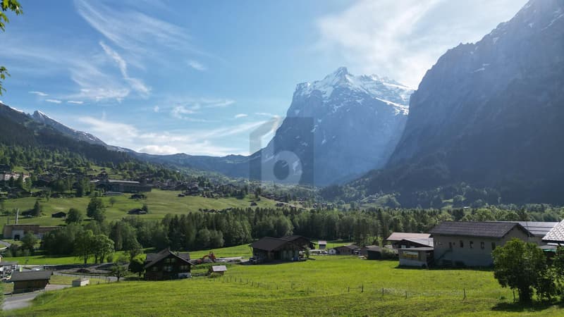 Detached Chalet at the Foot of the Eiger (1)