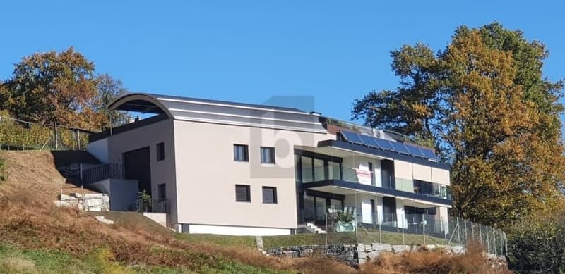 Nicht mehr verfügbar (1)