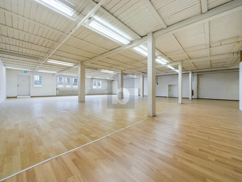 CENTRE-VILLE AVEC DIVERSES POSSIBILITÉS D'UTILISATION (1)