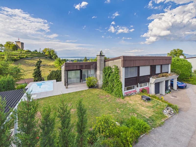 Renovated with garden, pool, and panoramic view (5)