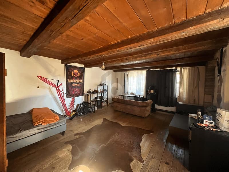 OWN ARBOR IN THE MIDDLE OF SISSACH! (4)