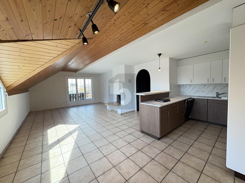 Freshly Renovated with Large Terrace (2)