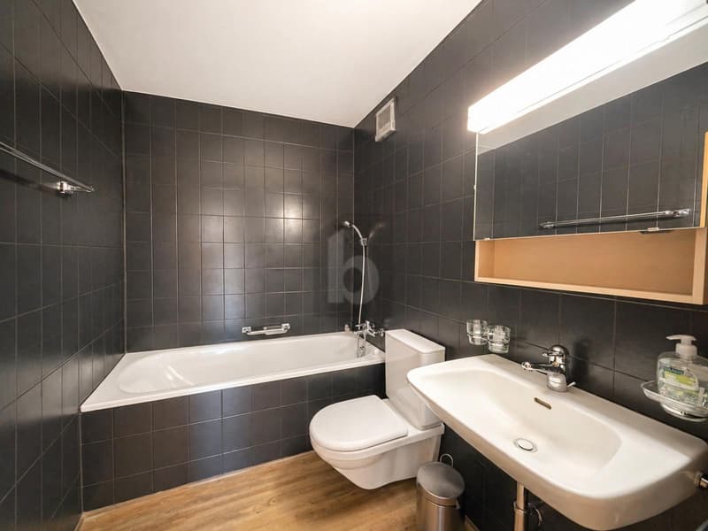 Freshly Renovated with Large Terrace (5)