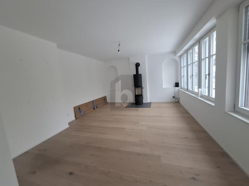CHARMANT, COSY AND CLOSE TO NATURE (4)