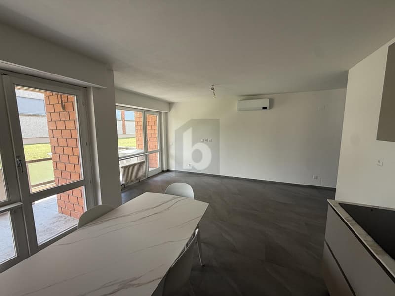 Renovated, like new in central location (3)