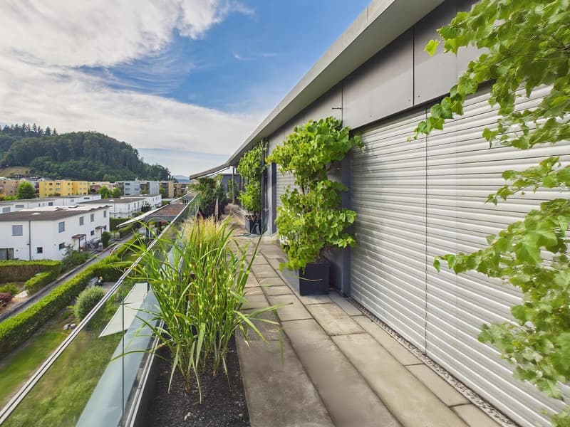 RÊVE DE TERRASSE DE LUXE ! (1)