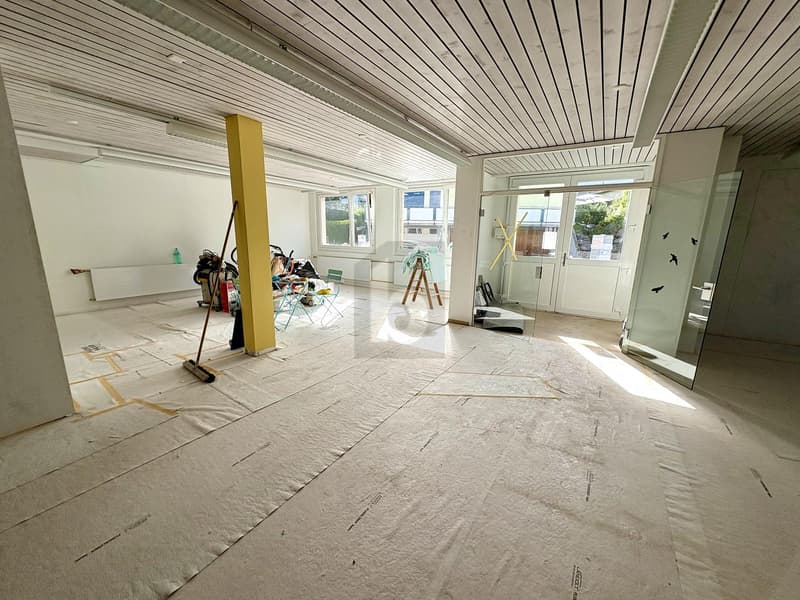 FRESHLY RENOVATED, SPACIOUS & VERSATILE (2)