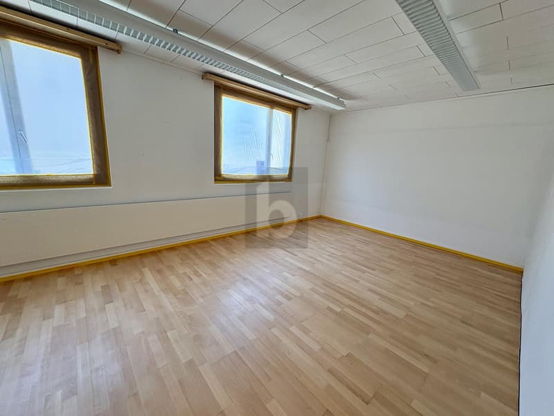 FRESHLY RENOVATED, SPACIOUS & VERSATILE (5)