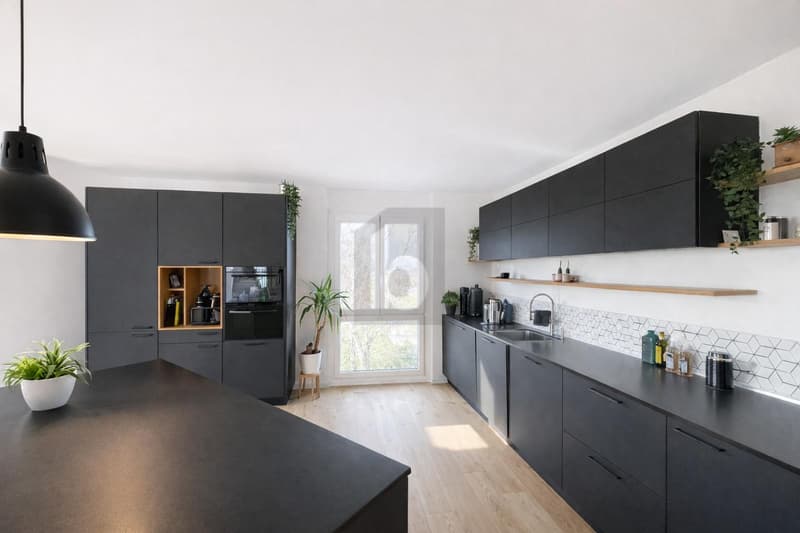 MAGNIFIQUE SPACIEUX RÉNOVÉ AVEC VUE DÉGAGÉE (3)