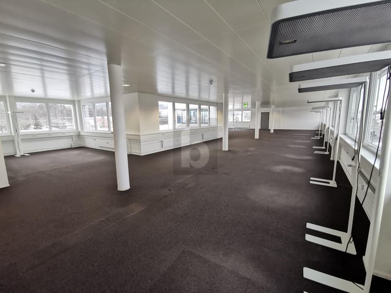 LARGE, BRIGHT AND IN AN IDEAL LOCATION (2)