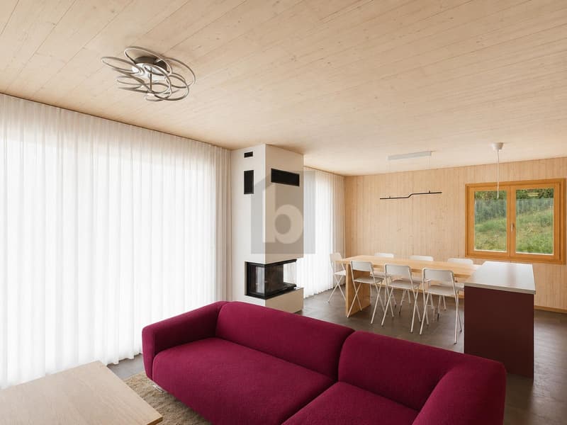 CONTEMPORAINE ET FINITIONS HAUT DE GAMME (4)