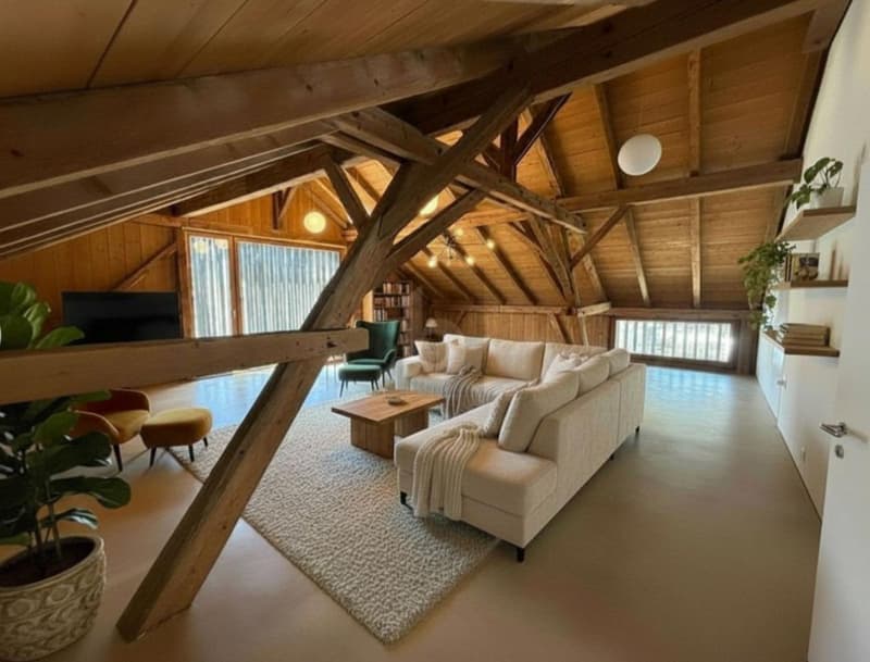 Fienile ristrutturato con grande spazio loft (1)