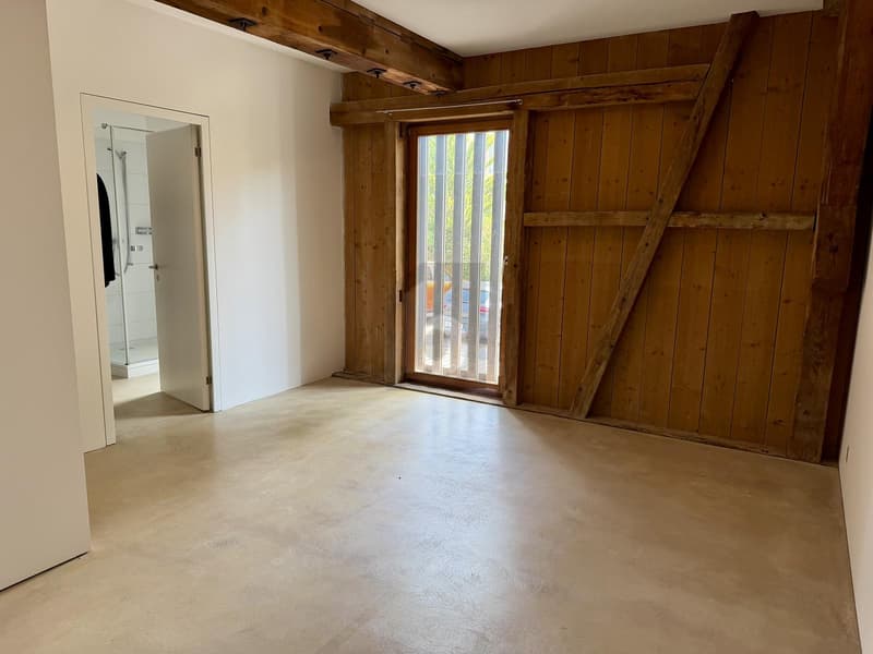 Fienile ristrutturato con grande spazio loft (4)