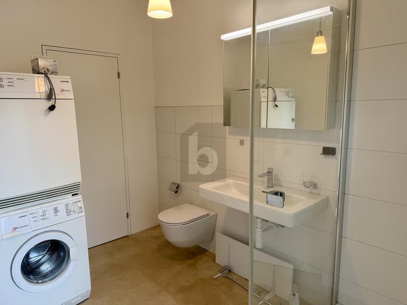 Fienile ristrutturato con grande spazio loft (5)