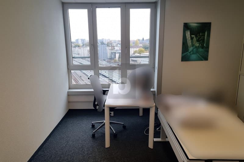WORKSPACE WITH PANORAMIC VIEW (5)