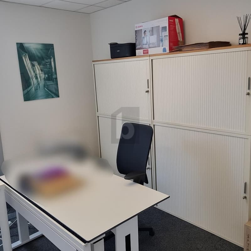 WORKSPACE WITH PANORAMIC VIEW (4)