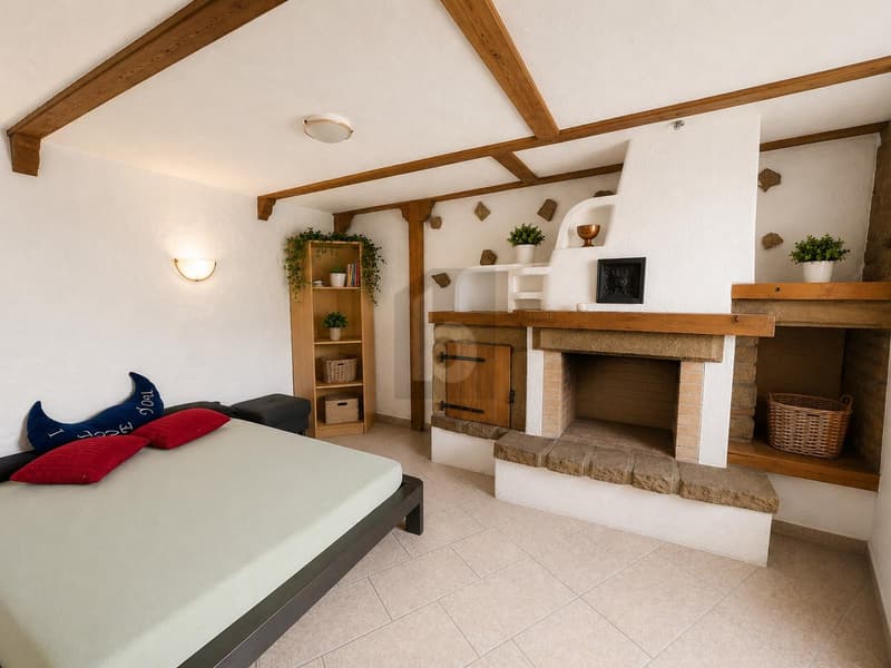 HABITER ET TRAVAILLER AVEC GRANDE TERRASSE (3)
