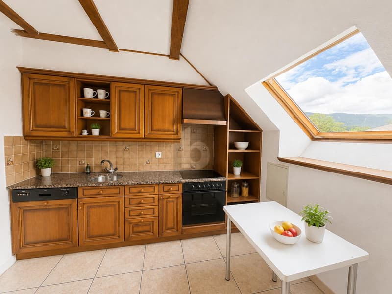 HABITER ET TRAVAILLER AVEC GRANDE TERRASSE (2)