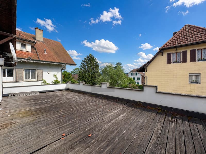 HABITER ET TRAVAILLER AVEC GRANDE TERRASSE (4)