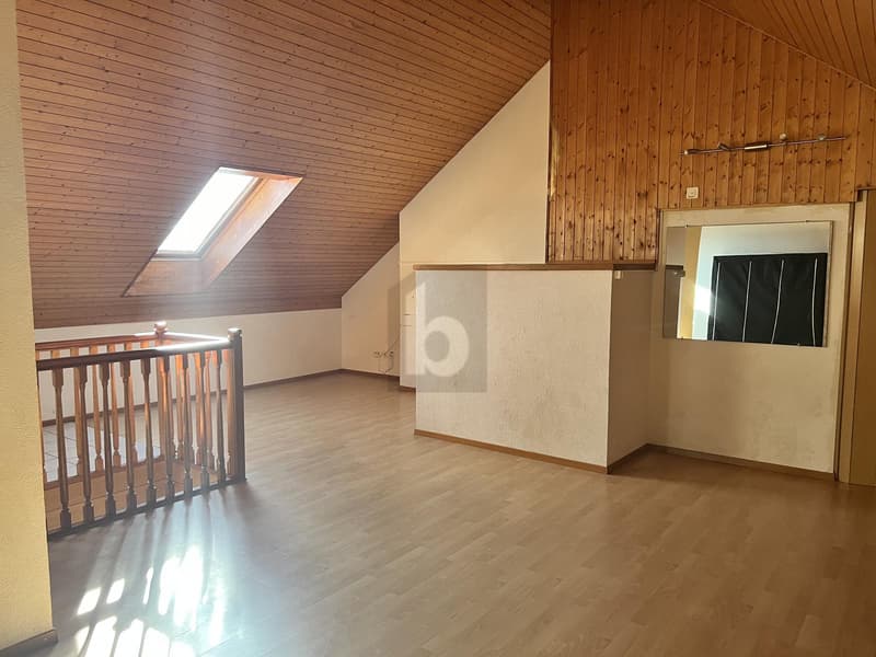 MAGNIFIQUE DUPLEX ATYPIQUE ET SPACIEUX (2)