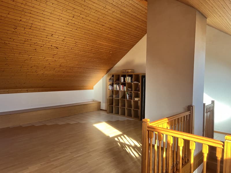 MAGNIFIQUE DUPLEX ATYPIQUE ET SPACIEUX (1)