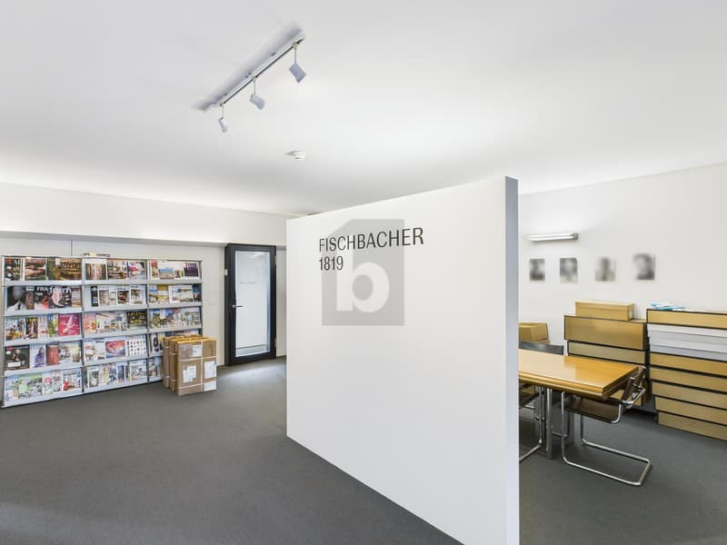 MODERN AN ZENTRALER LAGE (4)