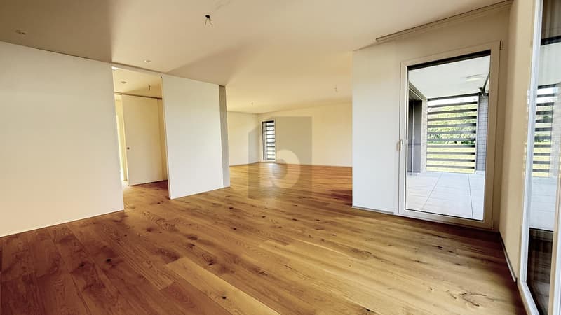 High-Value and Bright - For the First Occupancy (3)