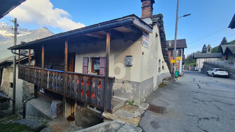 Quiet, Spacious, with Terrace (1)