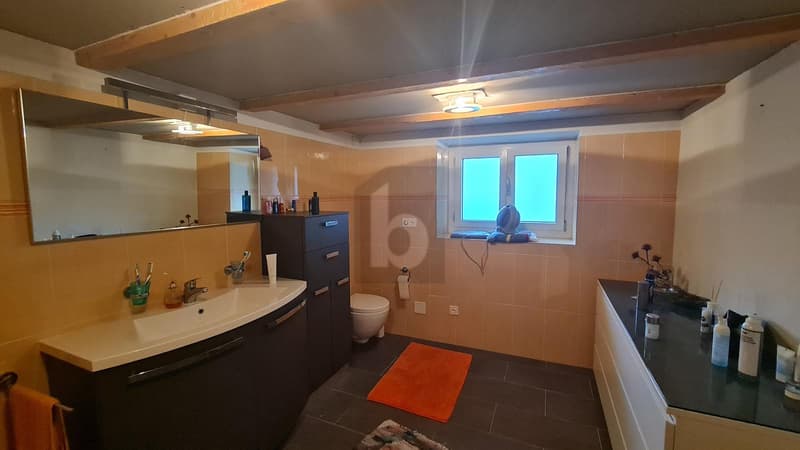 Quiet, Spacious, with Terrace (4)
