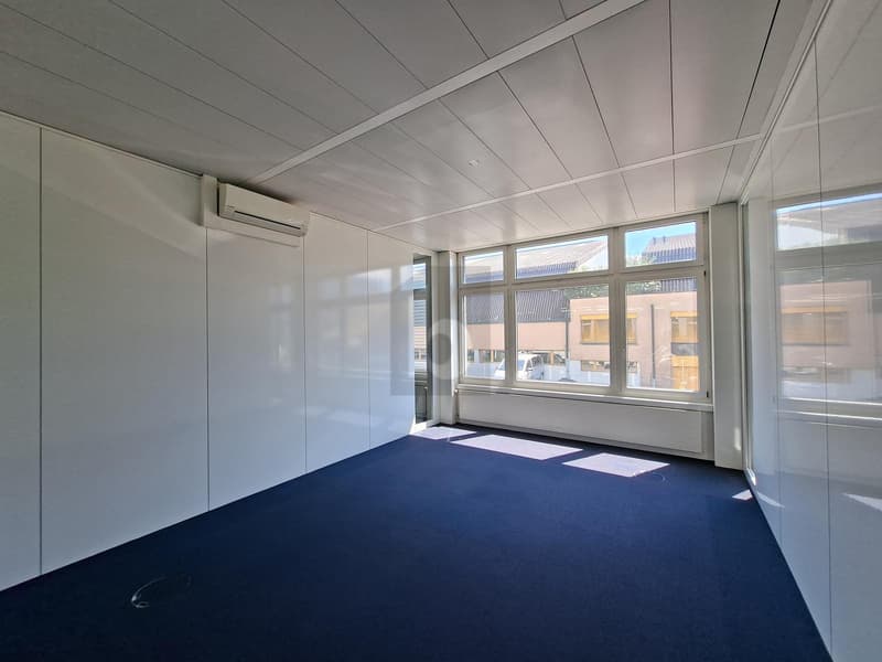 REPRESENTATIVE OFFICE SPACE - AIR CONDITIONED (3)