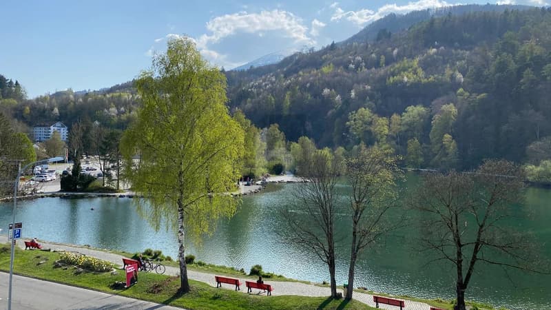 NEUBAU AM WERDENBERGER SEE (B3O2) (4)