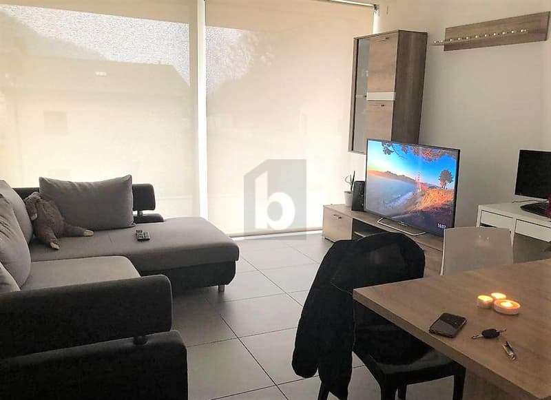 BRIGHT AND MODERN (1)