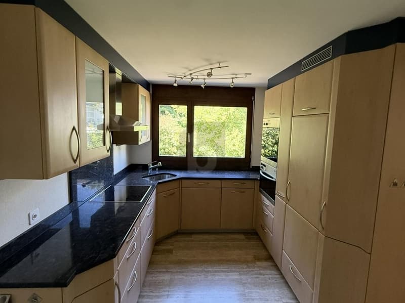 STYLISH, SPACIOUS AND CLOSE TO NATURE (4)