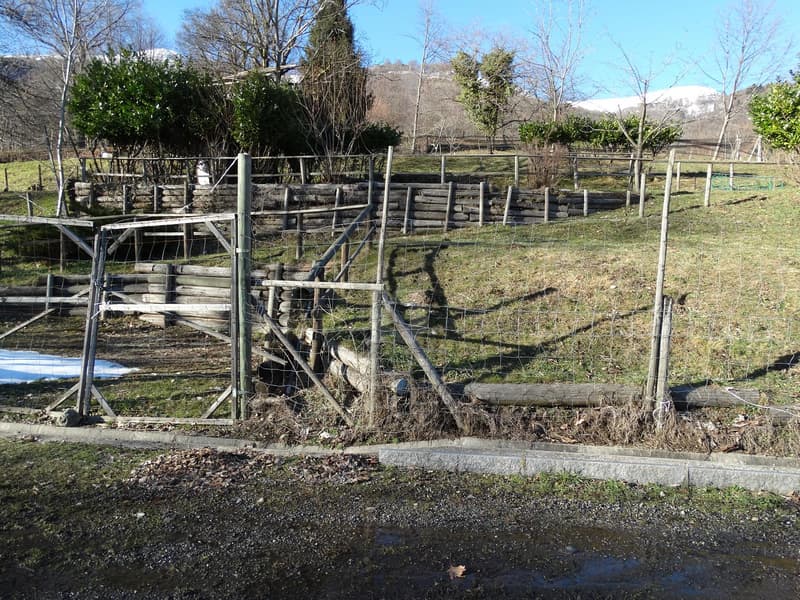 Pâturage pour chevaux (3)