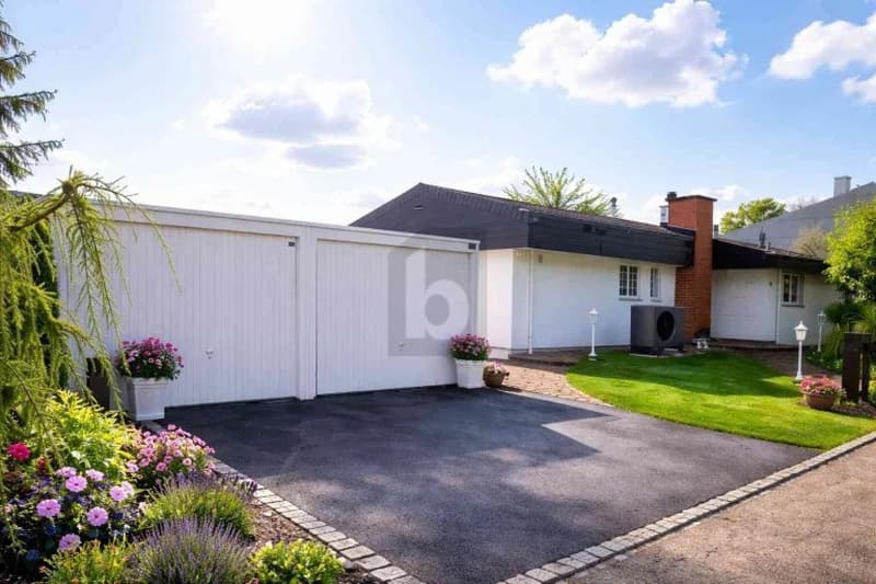 Light-Flooded, Modern with Lots of Space (5)