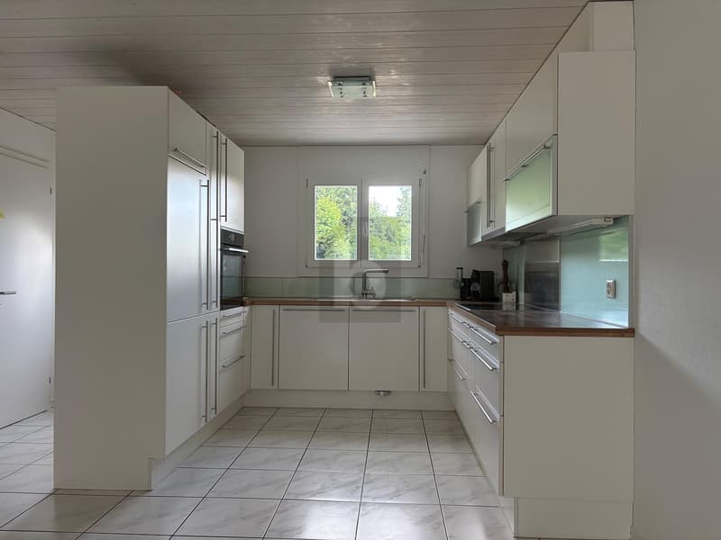 Family-friendly living with a beautiful garden (5)