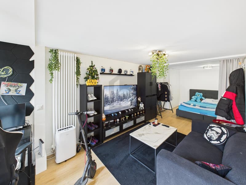 APPARTEMENT DE VILLE DANS UN ENVIRONNEMENT VERDANT (MAISON MITOYENNE) (5)