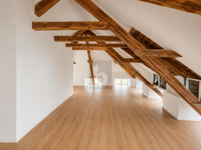EINZIGARTIGKEIT UND MODERN VEREINT (5)