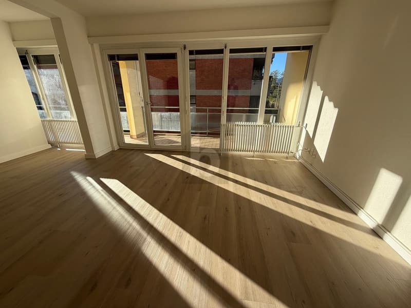 BRIGHT APARTMENT IN CENTRAL AREA (2)