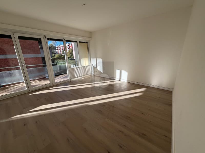 BRIGHT APARTMENT IN CENTRAL AREA (3)