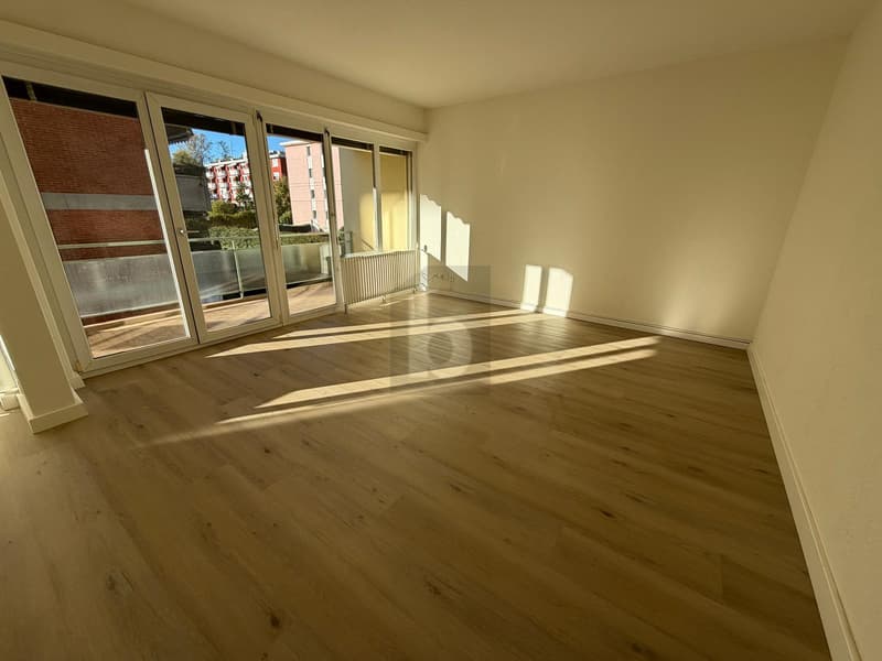 BRIGHT APARTMENT IN CENTRAL AREA (1)