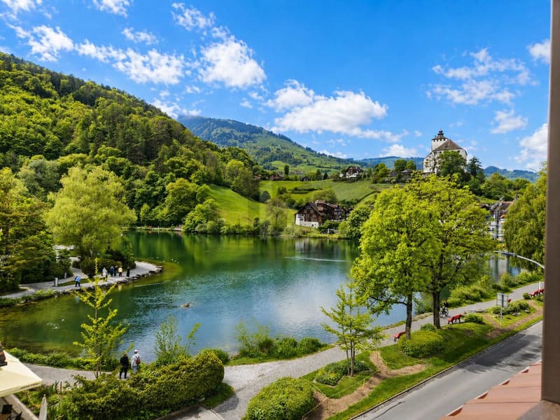 Nuovo edificio sul lago di Werdenberg (C103) (1)
