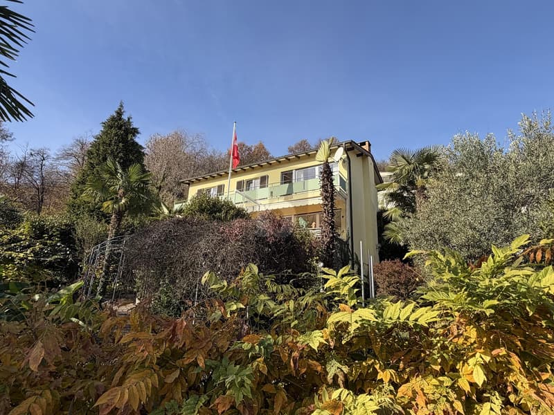 With Garden and Pool (2)