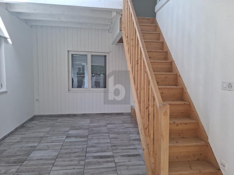 Spacious and bright (3)