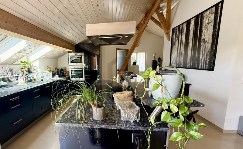 Light-Flooded, Spacious and Modern (3)