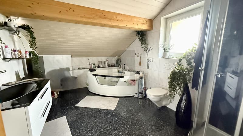 Light-Flooded, Spacious and Modern (4)