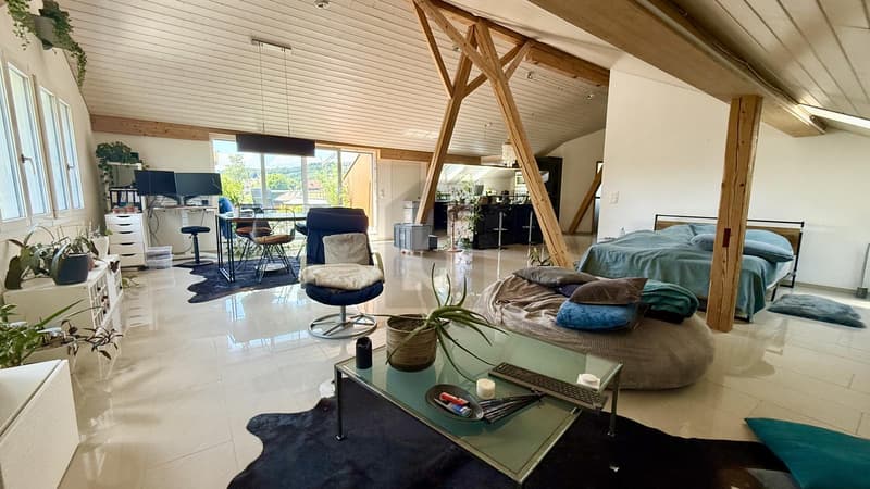 Light-Flooded, Spacious and Modern (1)