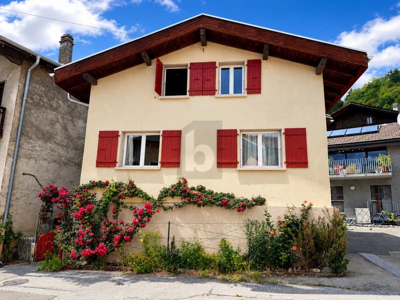 AUTHENTIC, SPACIOUS AND FAMILY-FRIENDLY (1)
