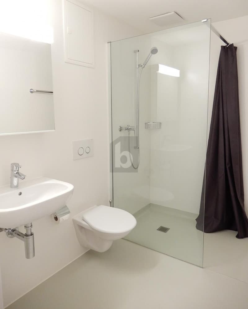 CENTRAL, WITH LARGE SHOWER (4)