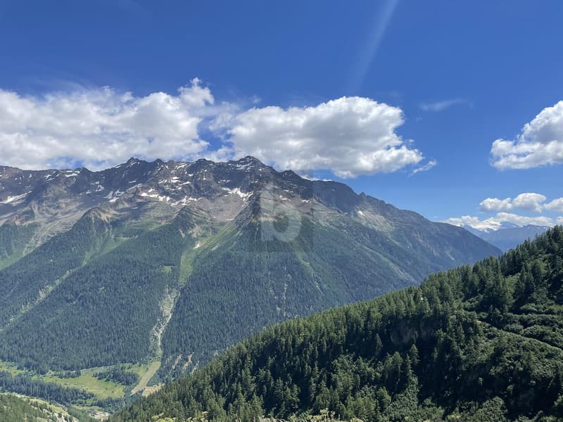 RUSTIKAL MIT HERRLICHEM PANORAMA (2)